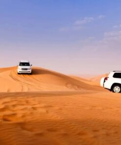 Desert Safari Tour Dubai cheapest price