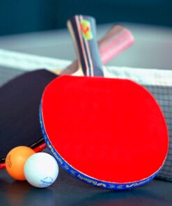 Table Tennis Tournament in Dubai