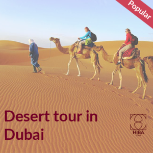 Dubai Desert Safari Tour