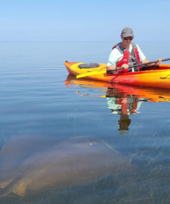 Rent a kayak in Dubai