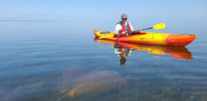 Rent a kayak in Dubai