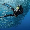 Scuba diving Dubai