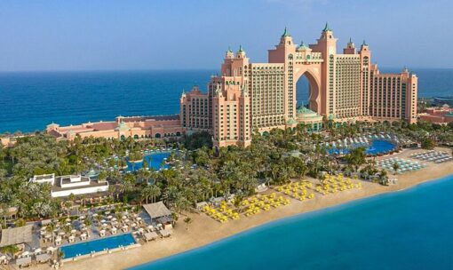 Atlantis palm