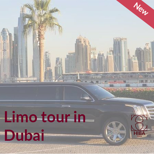 Limo Party Tour in Dubai