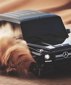 Luxury desert safari Tour with Mercedes Benz