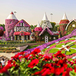 miracle garden in dubai