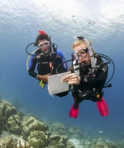 scuba diving tour in Dubai