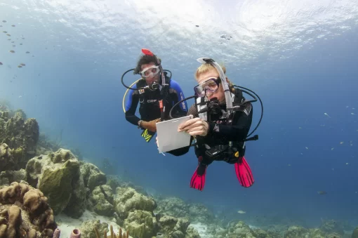 scuba diving tour in Dubai