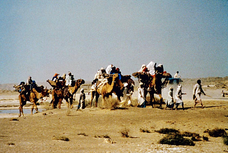 Nomadic in Desert life in Dubai