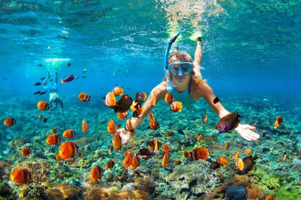 Snorkeling in Dubai