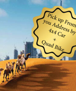 Desert Safari in Dubai by pickup and Quad Bike