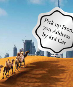 Evening Desert Safari by Pickup in Dubai